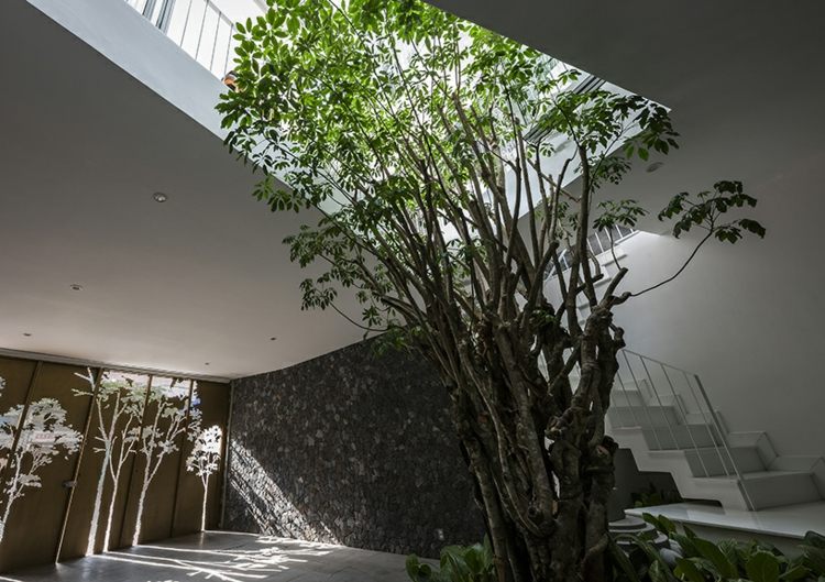 takträdgårdshus i vietnamträd inuti trappan