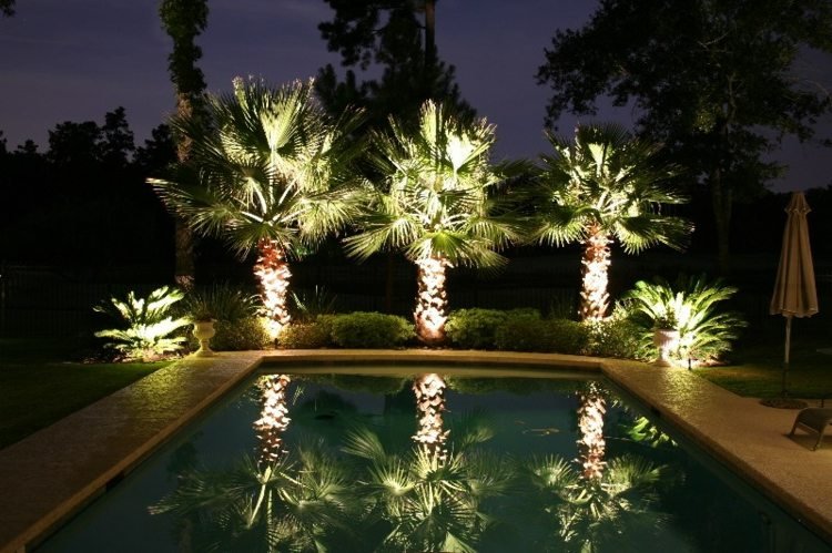 belysning trädgård palmer idé pool parasoll buskar