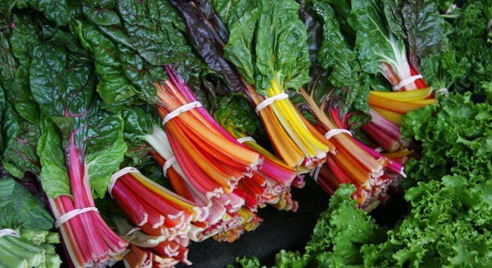Chard färgstark trädgårdsdekoration gjord av grönsaksblad