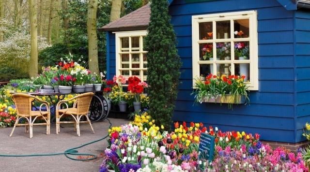 Trädgårdshall blå fasad färgglada blommor-blommande sängar i trädgården