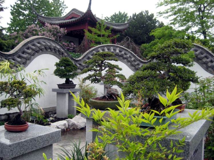 trädgård-design-bonsai-sekretess-skärm-vägg-blomkrukor