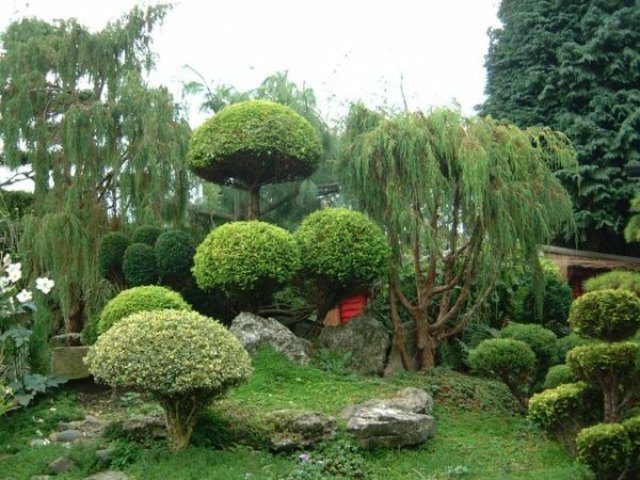 Kinesiska grundprinciper för att välja rumsträd