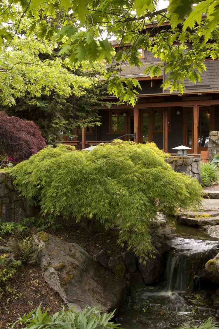 trädgård design asiatisk-låg-buske-bäck-sten