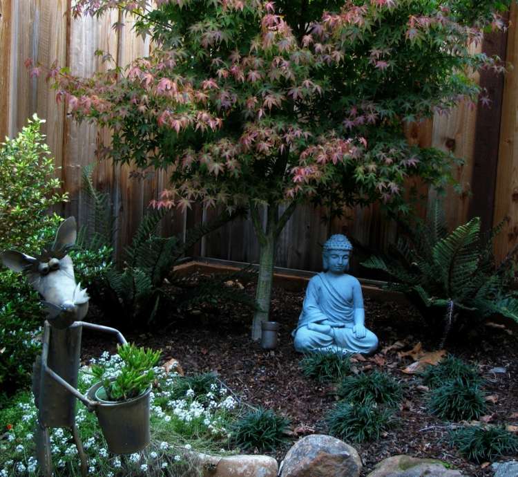 design-trädgård-liten-idé-träd-växter-buddha-sten trädgård
