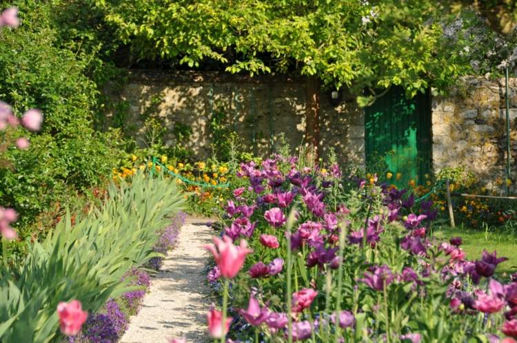 trädgård design färger-tulpaner-lila-vägg-rustik-graeser