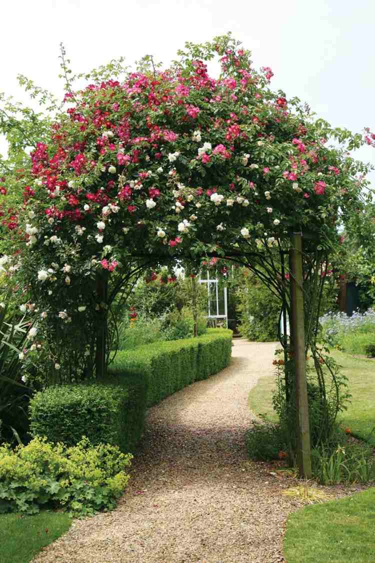 design-trädgård-båge-bygg-pergola-klätterrosor-rosa-vit-häck