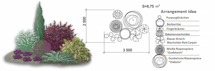 trädgård-design-blåsan-spar-enbär-idé-purpurgloeckchen