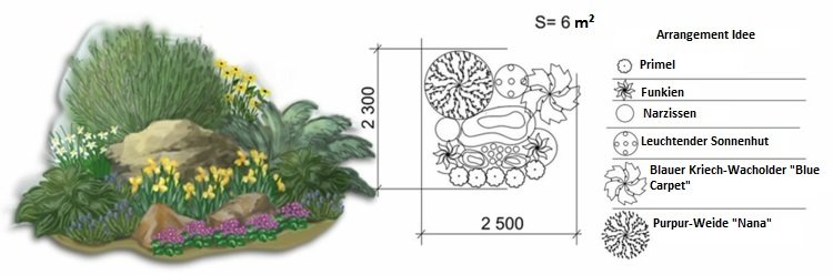 trädgård-design-pil-enbär-lila-narcissus-primrose-färgglada