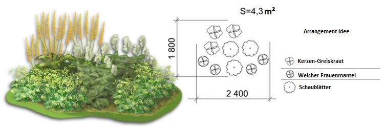 trädgårdsdesign nyans-gula-blommor-ragwort-arrangemang-idé-säng