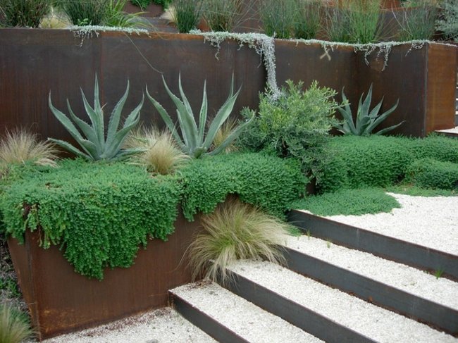 Växter stensten trappor design idé