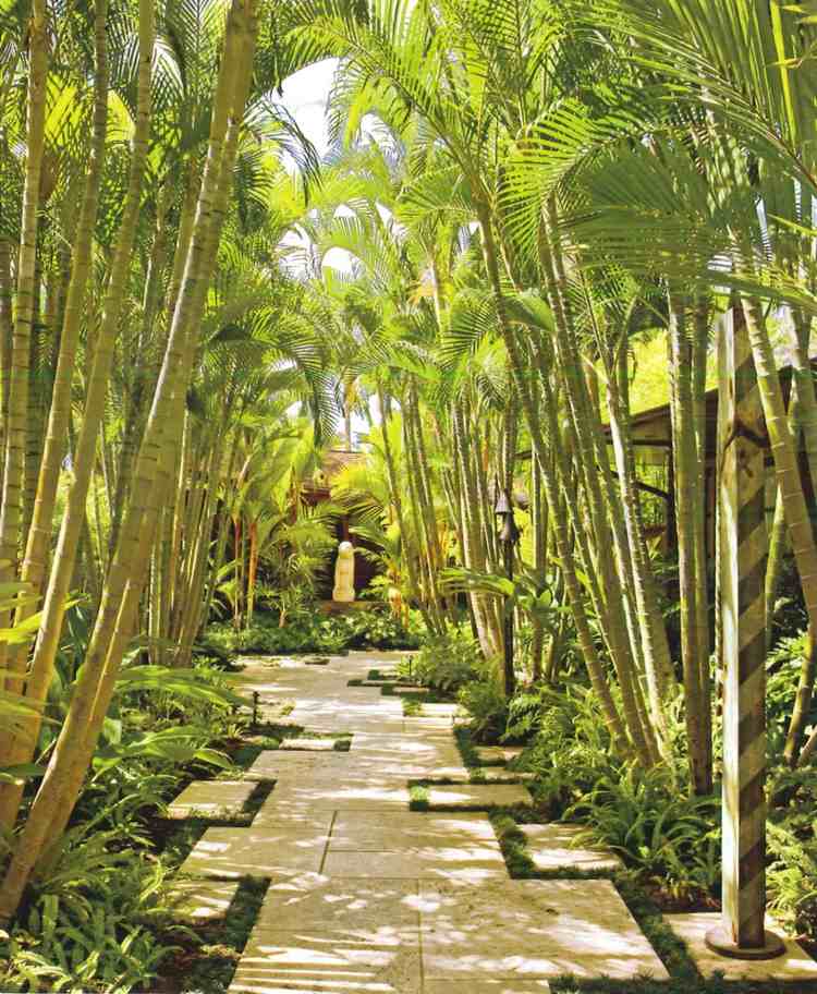 trädgårdsidéer exotiska-bambu-trädgård-väg-plantering