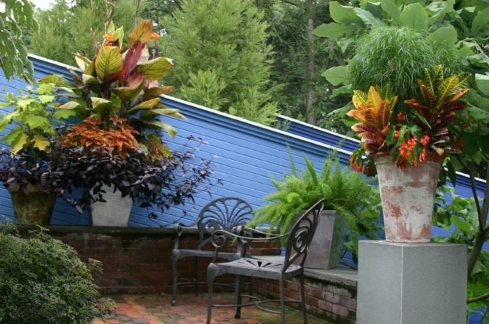 balkong trädgård design blomkrukor exotiska växter