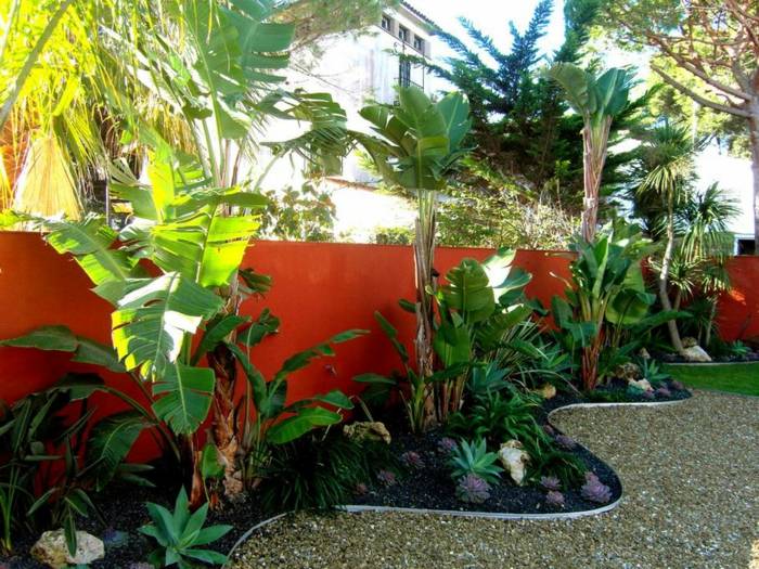 tropisk trädgård rabatt vägg orange färg banan