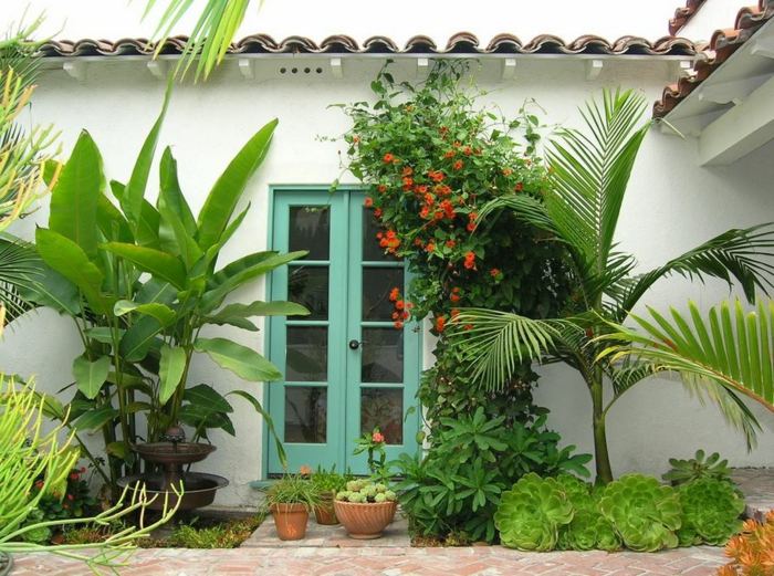 terrass design idé palmer blommor dörr turkos