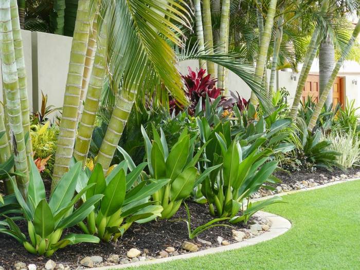 Skapa en trädgård växt exotiska palmer design utomhus