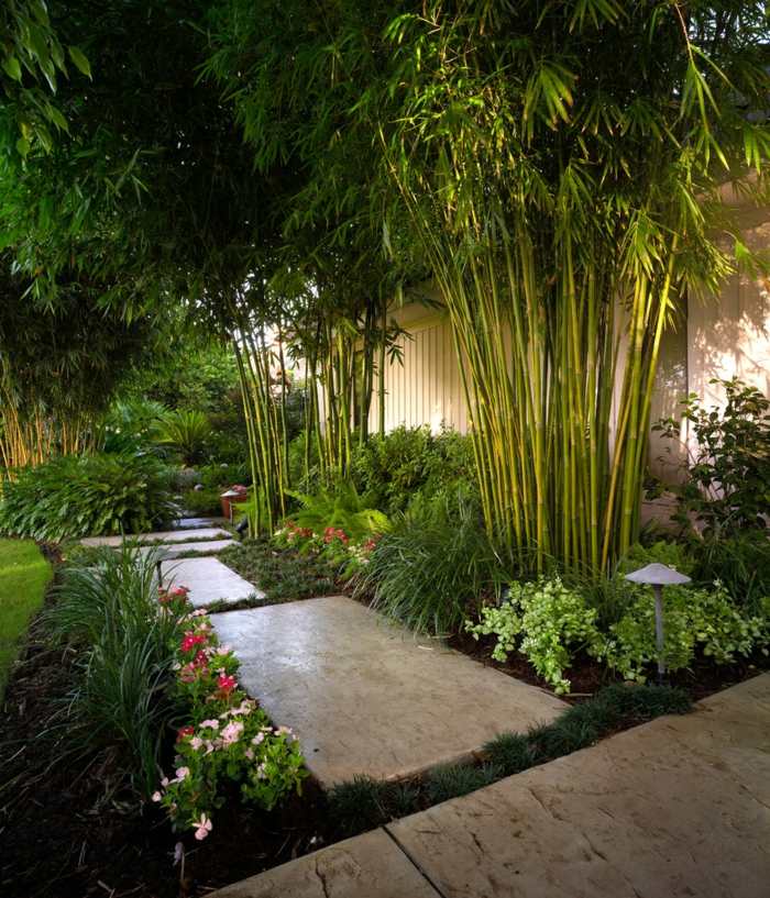 trädgård design bambu tropisk belysning trädgård väg idé