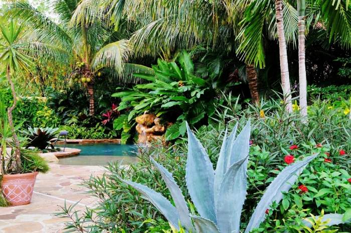 trädgårdsidéer tropiska saftiga buskar palmer
