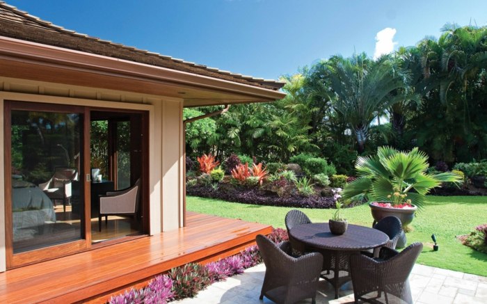 modern trädgård exotisk look enkel rabatt palm terrass