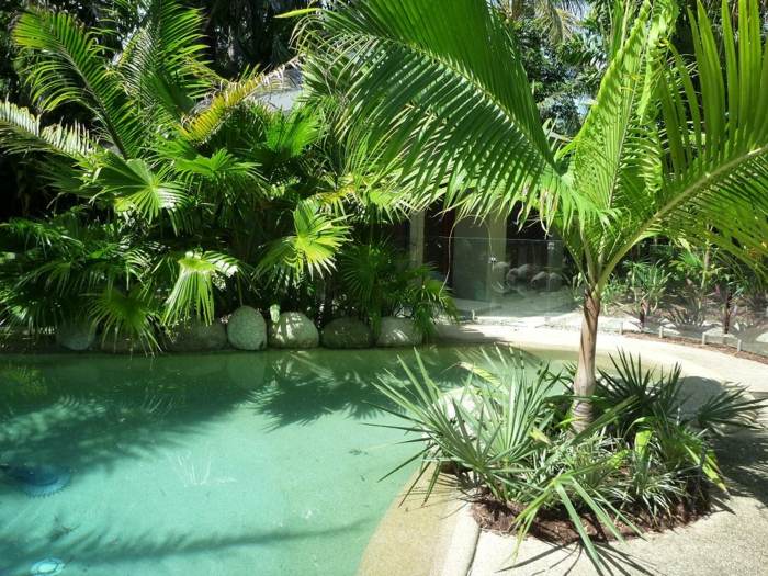palm säng gräs trädgård pool idé