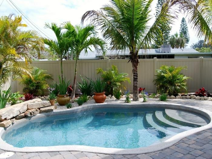 pool utomhus palmträdgård design vård blomkrukor