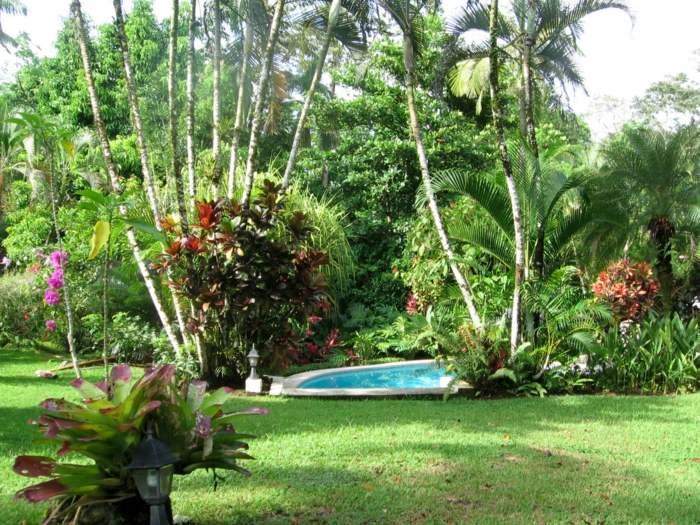pool trädgård växter landskap design palmer gräsmatta