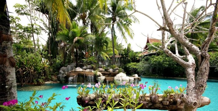 pool design skapande tropiska exotiska turkosa trädgårdsidéer