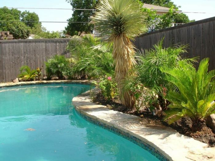 pool design trädgård design exotiska växter