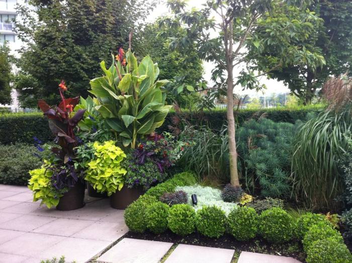 växter tropiska blomkrukor trädgård form sommar idé buskar