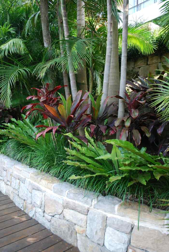 trädgårdsidéer tropikerna palmer gräs buskar färgade