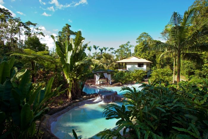 trädgård design villa pool palmer växter sommar