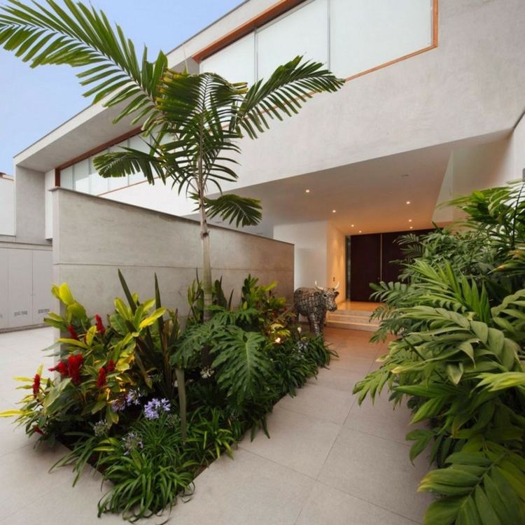 trädgårdsidéer entré-rabatt-palm-vitt-hus