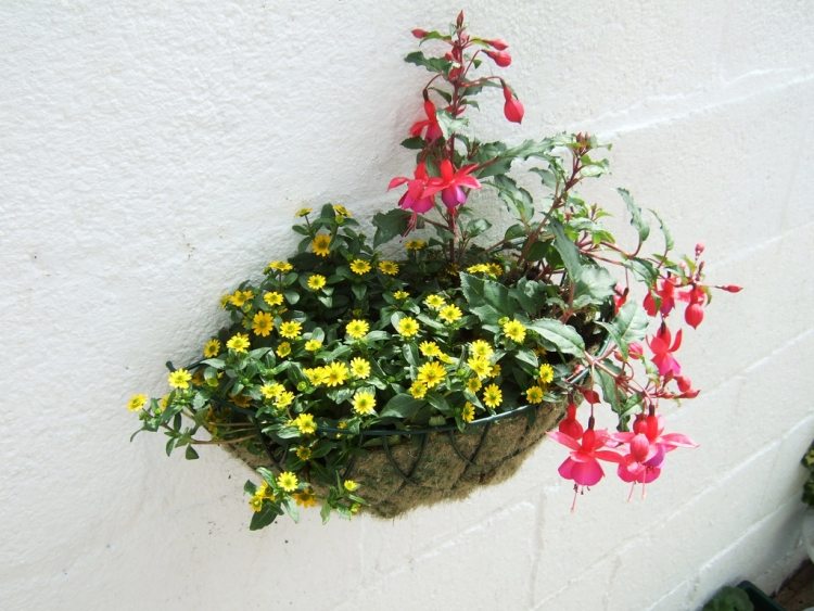 trädgård-idéer-gör-det-själv-blomma-korg-väggmonterings-hängande