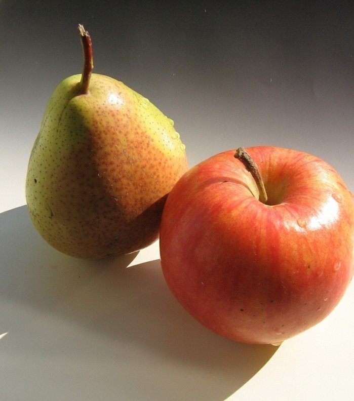 trädgård i september äpple päron skörd vård