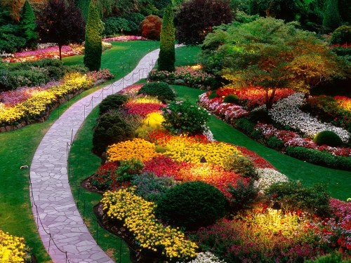 Skapa en ny trädgård färgglada, magnifika, underbara, många olika sorter