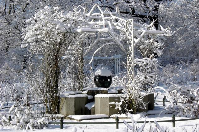 trädgårdsdesign utomhusområde vinter riktig vård behöver snö