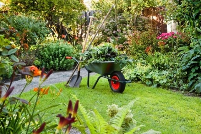 trädgårdsvård viktiga växter blommor säsong månad