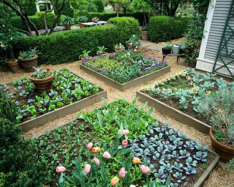 trädgård-utan-gräsmatta-odling-grönsaker-upphöjda-sängar