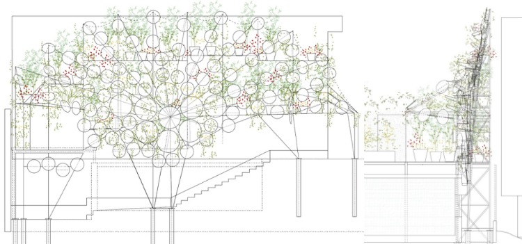 trädgård-pool-luftkylning-system-spegel-vertikal-trädgårdsplanering