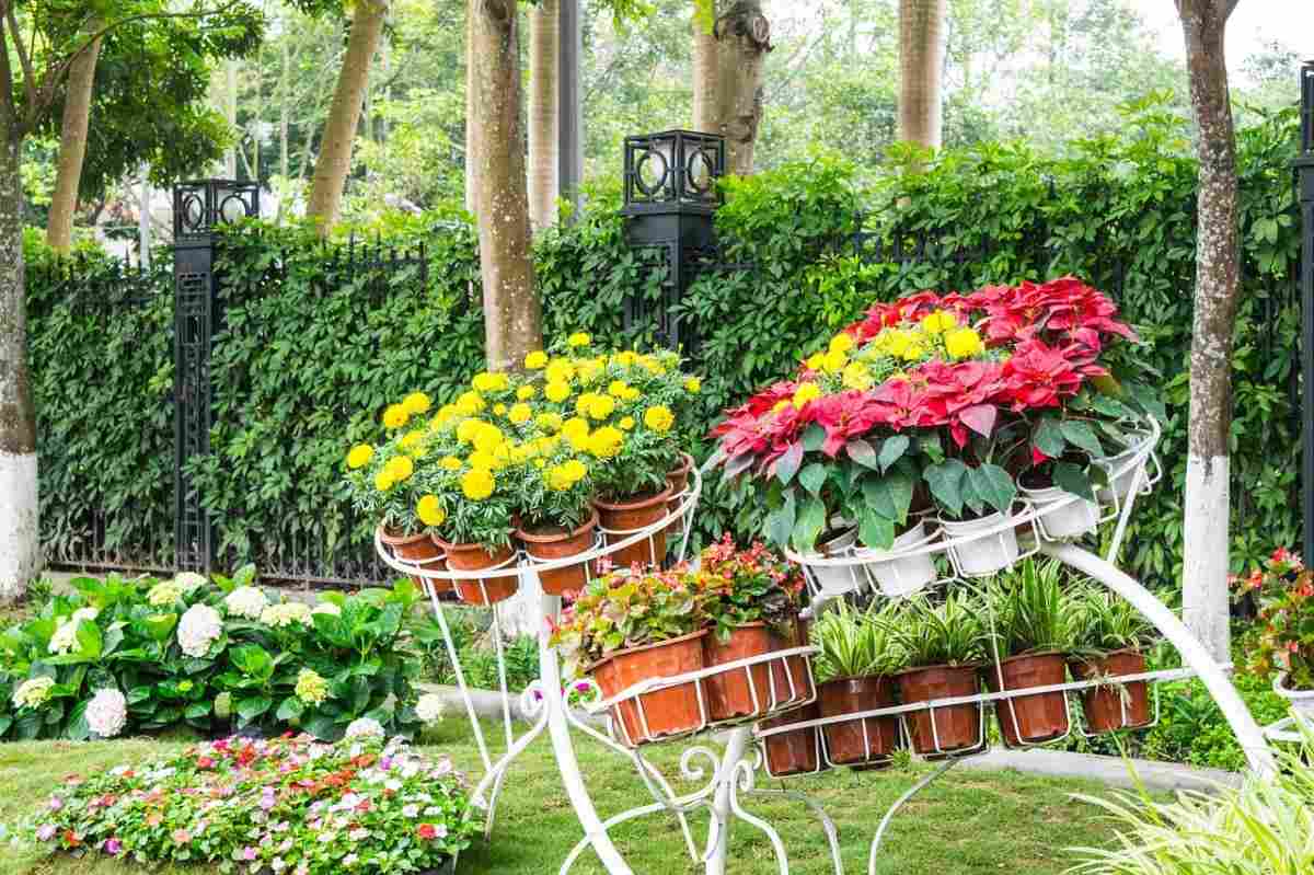 Gör ovanliga växthållare med planteringar för trädgården vackra