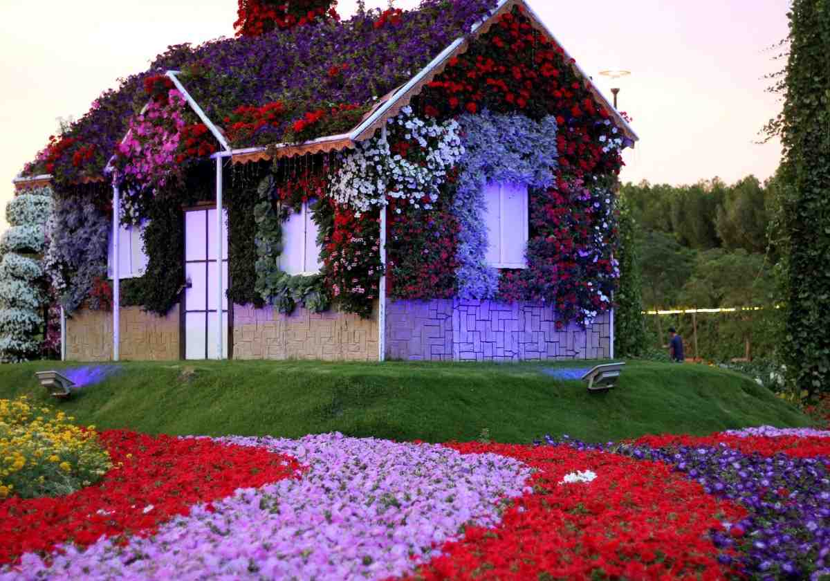 magisk trädgård med hus täckt med blommor