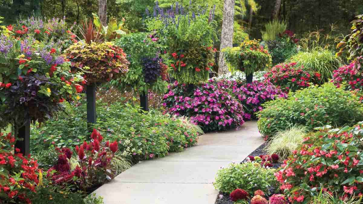 färgglad landskapsarkitektur med höga och låga planteringar runt trädgårdsvägen