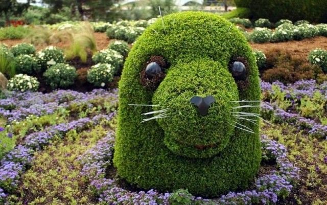 Gör-det-själv trädgårdsskulpturer boxwooddjur sälar