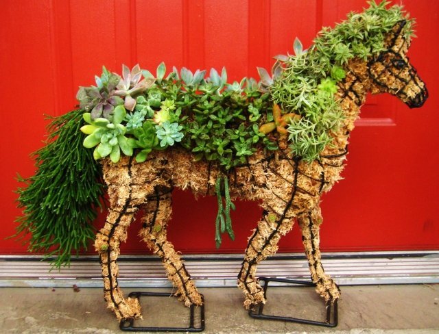 trädgård skulpturer häst succulenter halm kreativ