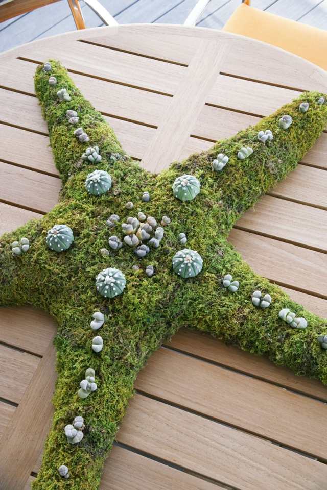 trädgård dekoration terrass matbord mossa sjöstjärnor skal