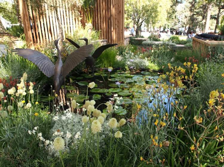 trädgård-landskapsarkitektur-damm-skulptur-svan-metall-näckrosor-nt-candeo-design