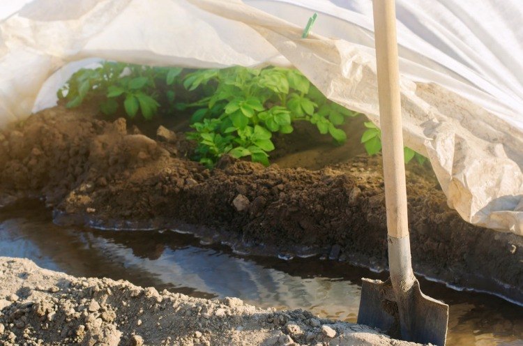 Förbered trädgårdssängar. Säker vattning genom att gräva och täcka på vintern