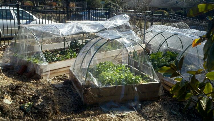 trädgårdsarbete-december-grönsaker-upphöjd-säng-fleece-skydda