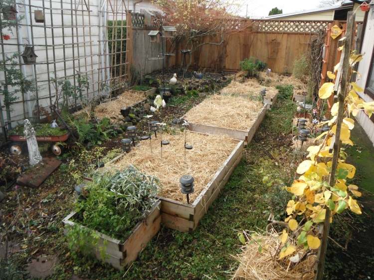 trädgårdsskötsel i december höjd säng-grönsaker-halm-skydda-vintern