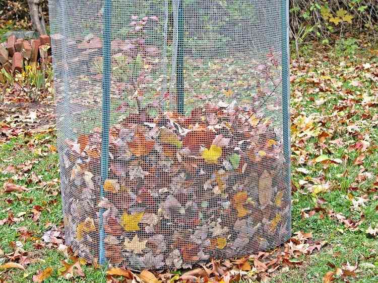 Trädgårdsskötsel i höstlöv-insamling-kompost-vinterskydd