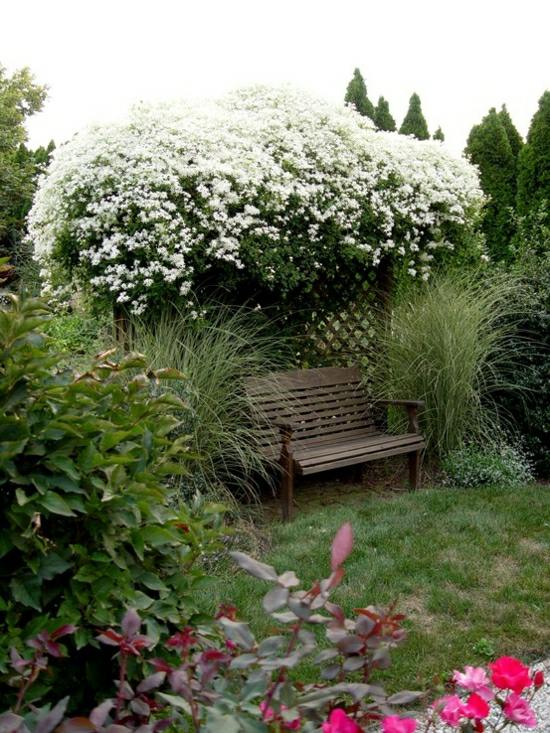 Trädgård pergola häck växter design blommor buskar